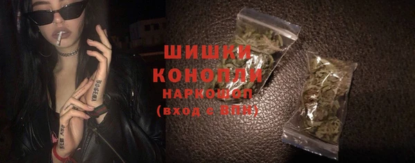 гашик Анжеро-Судженск